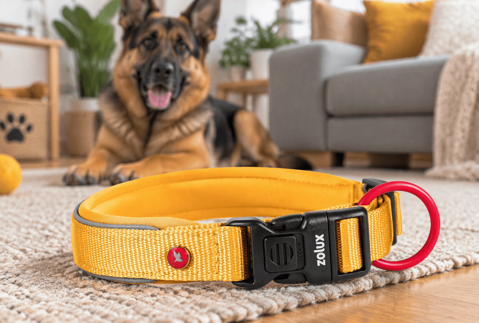 ZOLUX Premium-Nylon-Hundehalsband, Größe L, 45–50 cm, 25 mm, gelb – Bild 4