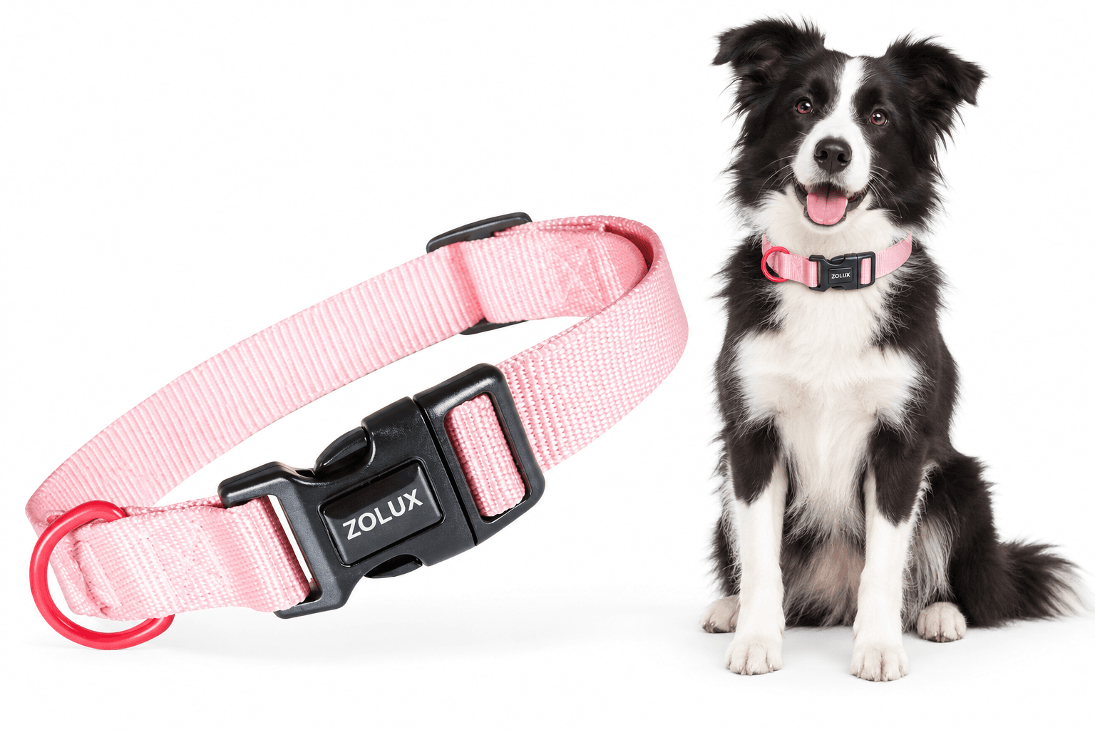 ZOLUX Klassisches Nylon-Hundehalsband, 31–48 cm, 20 mm, rosa – Bild 1