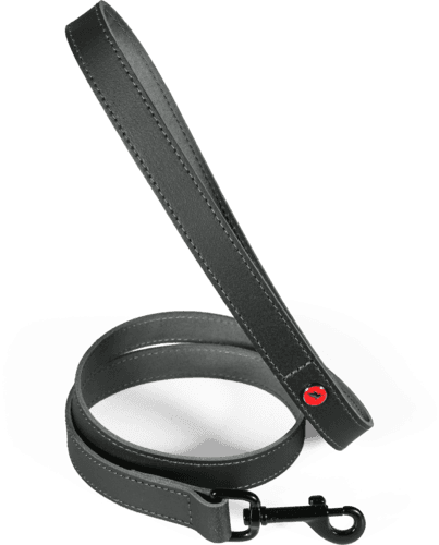 ZOLUX Klassische Lederleine für Hunde, 1 m, 15 mm, schwarz – Bild 2