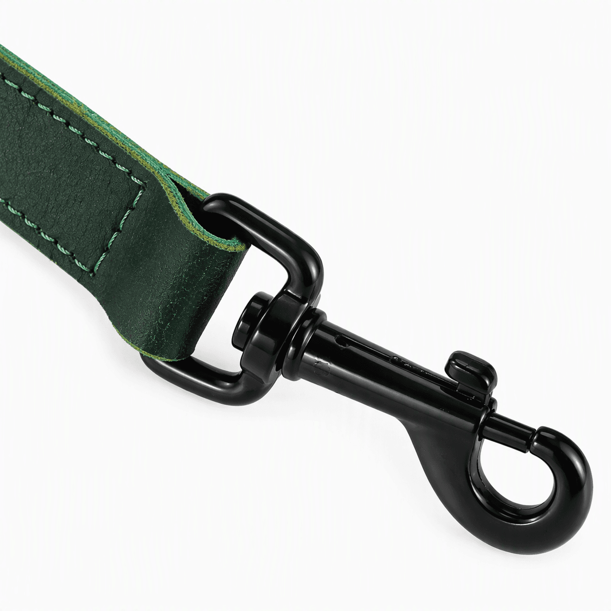 ZOLUX Klassische Lederleine für Hunde, 1 m, 15 mm, grün – Bild 5