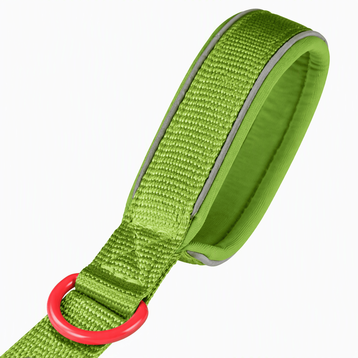 ZOLUX Premium-Nylon-Hundeleine, Größe M, 1,2 m, 20 mm, hellgrün – Bild 5