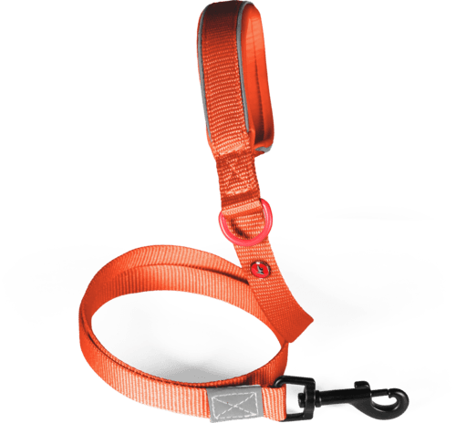 ZOLUX Premium-Nylon-Hundeleine, Größe XS, 1,2 m, 15 mm, rostbraun – Bild 2