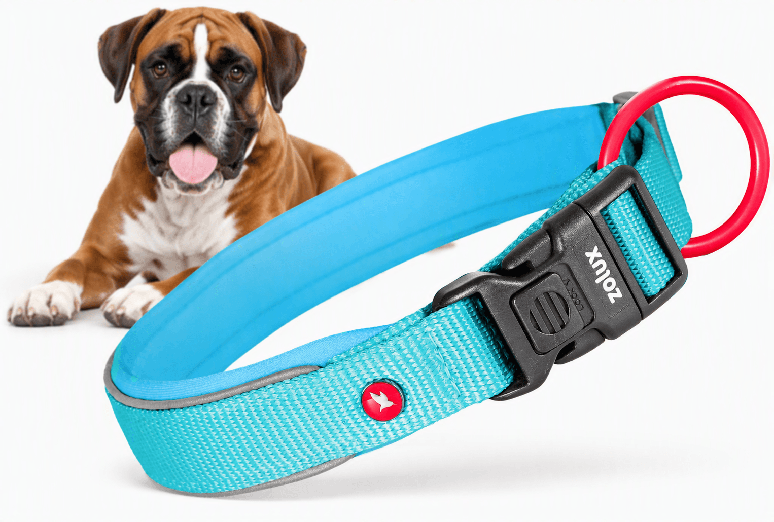 ZOLUX Premium-Nylon-Hundehalsband, Größe XL, 50–55 cm, 25 mm, türkis – Bild 1