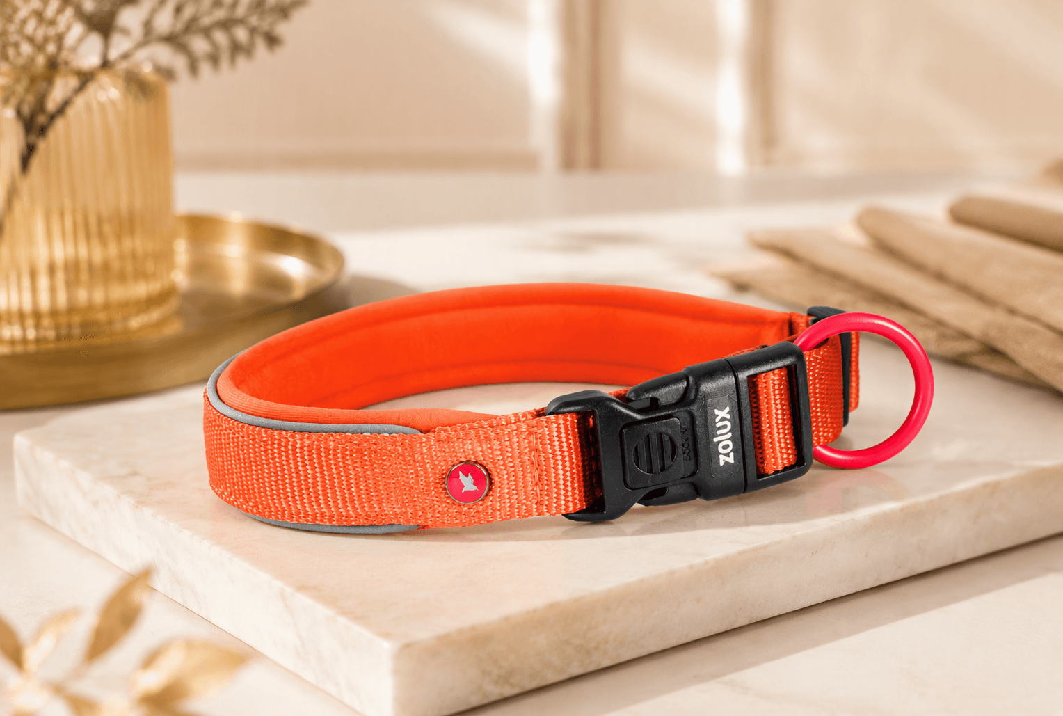 ZOLUX Premium-Nylon-Hundehalsband, Größe XL, 50–55 cm, 25 mm, rostbraun – Bild 4