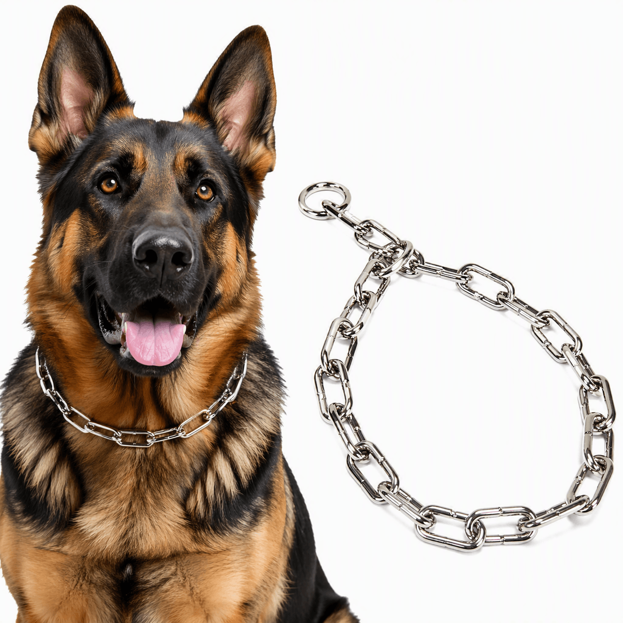 ZOLUX Metall-Würgehalsband für Hunde, 70cm – Bild 7