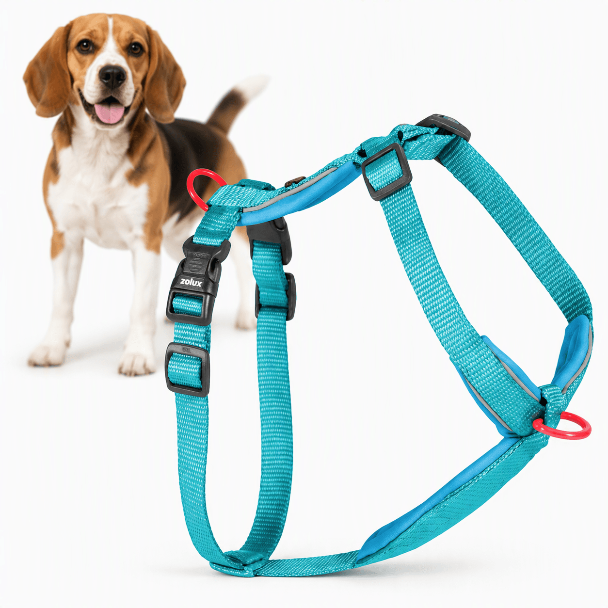 ZOLUX Premium-Nylon-Hundegeschirr, Größe M, 50–74 cm, 20 mm, türkis – Bild 1