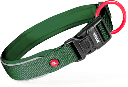 ZOLUX Premium-Nylon-Hundehalsband, Größe M, 40–45 cm, 20 mm, grün – Bild 2