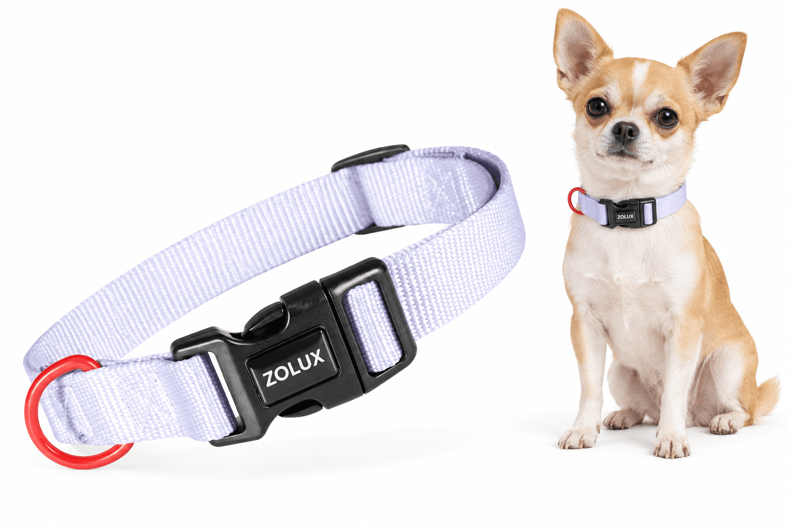 ZOLUX Klassisches Nylon-Hundehalsband, 21–36 cm, 10 mm, lila – Bild 1