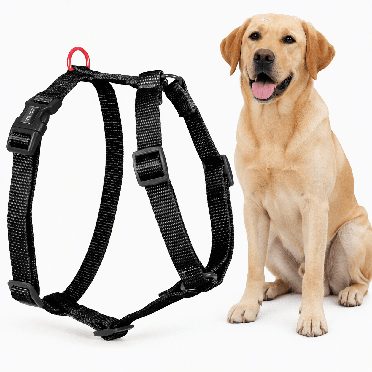 ZOLUX Klassisches Nylon-Hundegeschirr, 60–89 cm, 25 mm, schwarz – Bild 1