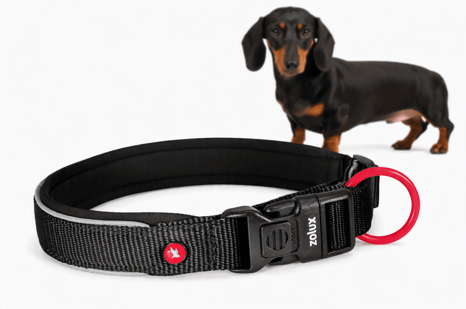 ZOLUX Premium-Nylon-Hundehalsband, Größe XS, 30–35 cm, 15 mm, schwarz – Bild 1
