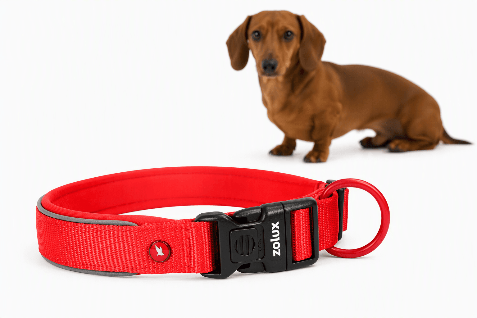 ZOLUX Premium-Nylon-Hundehalsband, Größe XS, 30–35 cm, 15 mm, rot – Bild 1