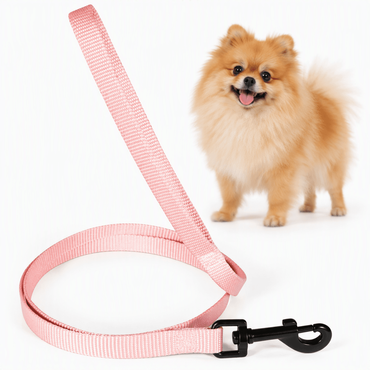 ZOLUX Klassische Nylon-Hundeleine, 1,20 m, 15 mm, rosa – Bild 1