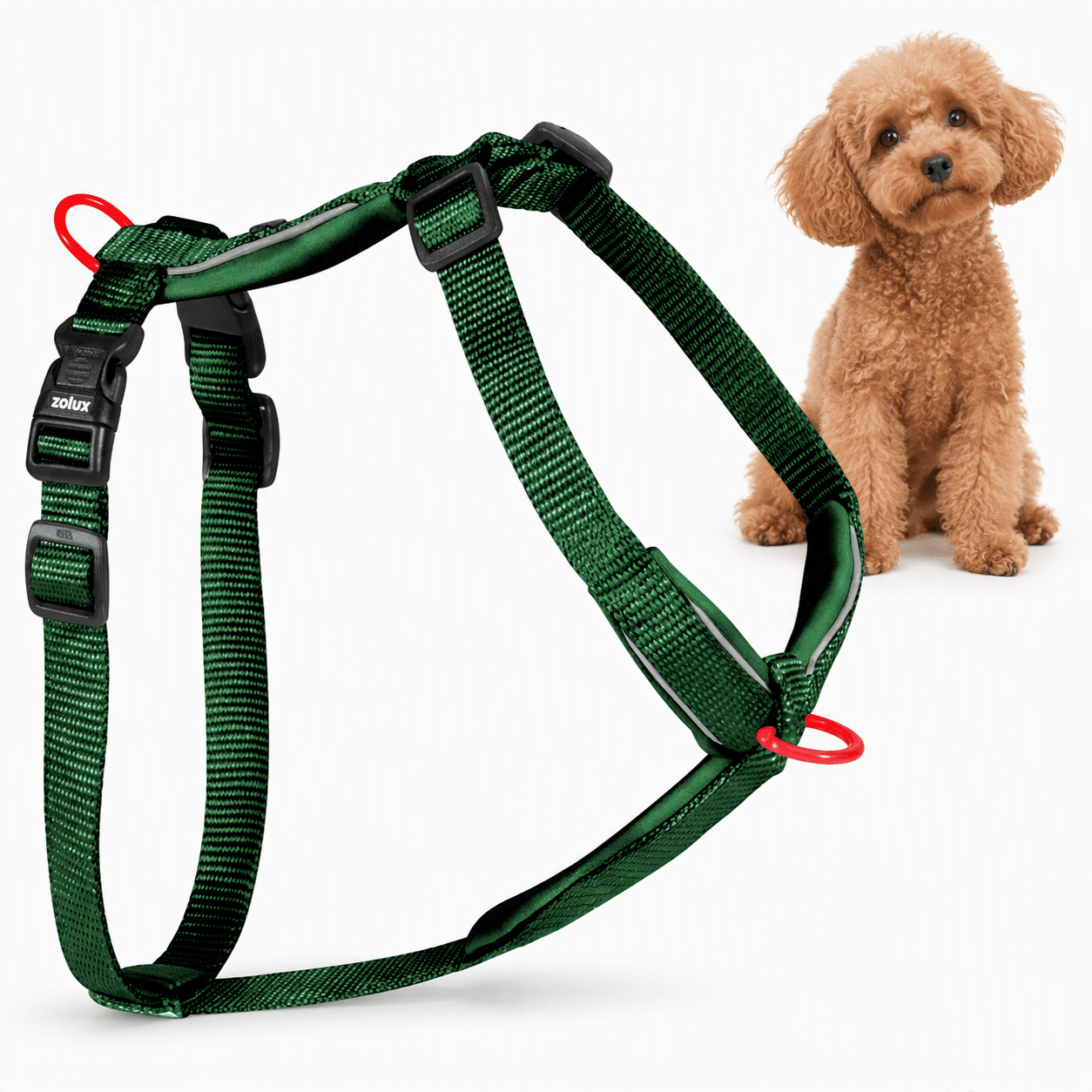 ZOLUX Premium-Nylon-Hundegeschirr, Größe XS, 30–40 cm, 15 mm, grün – Bild 1
