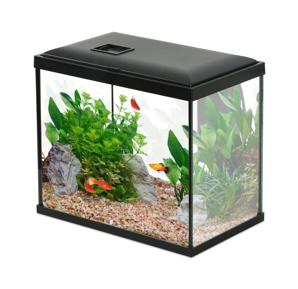 ZOLUX Aquarium INITIO 30 mit Kaskadenfilter 30 und LED, 13 l, schwarz + Gratis-Zubehör 352188+352192+352202+352217 – Bild 2