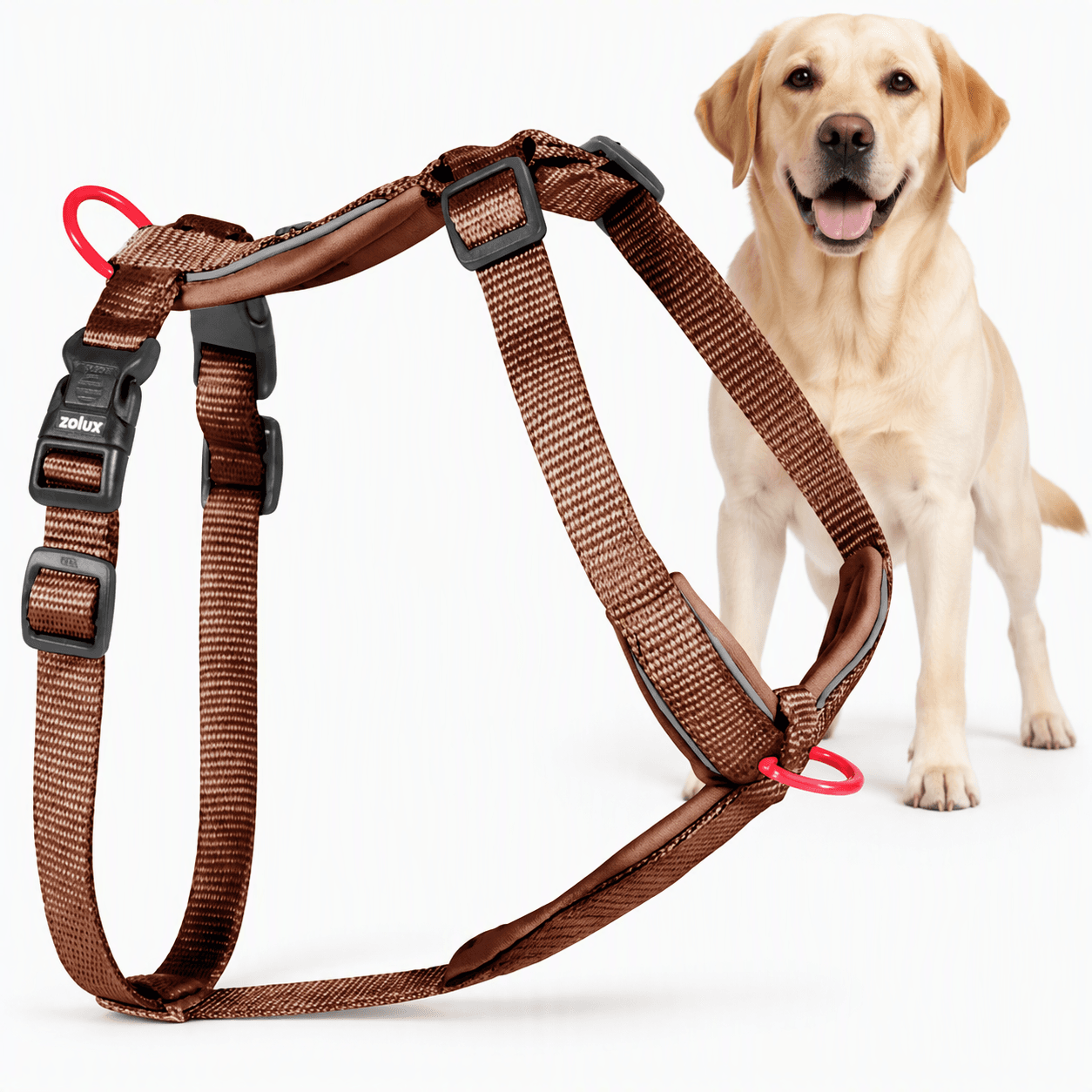 ZOLUX Premium-Nylon-Hundegeschirr, Größe L/XL, 65–97 cm, 25 mm, mocha – Bild 1