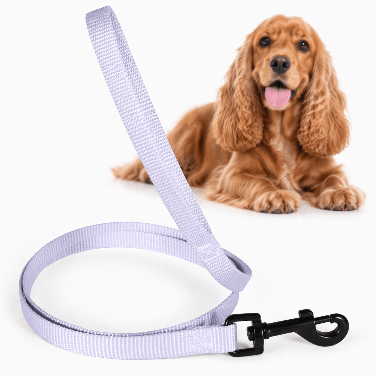 ZOLUX Klassische Nylon-Hundeleine, 1,20 m, 20 mm, lila – Bild 1