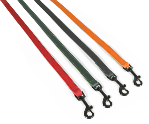 ZOLUX Klassische Lederleine für Hunde, 1 m, 20 mm, grün – Bild 4