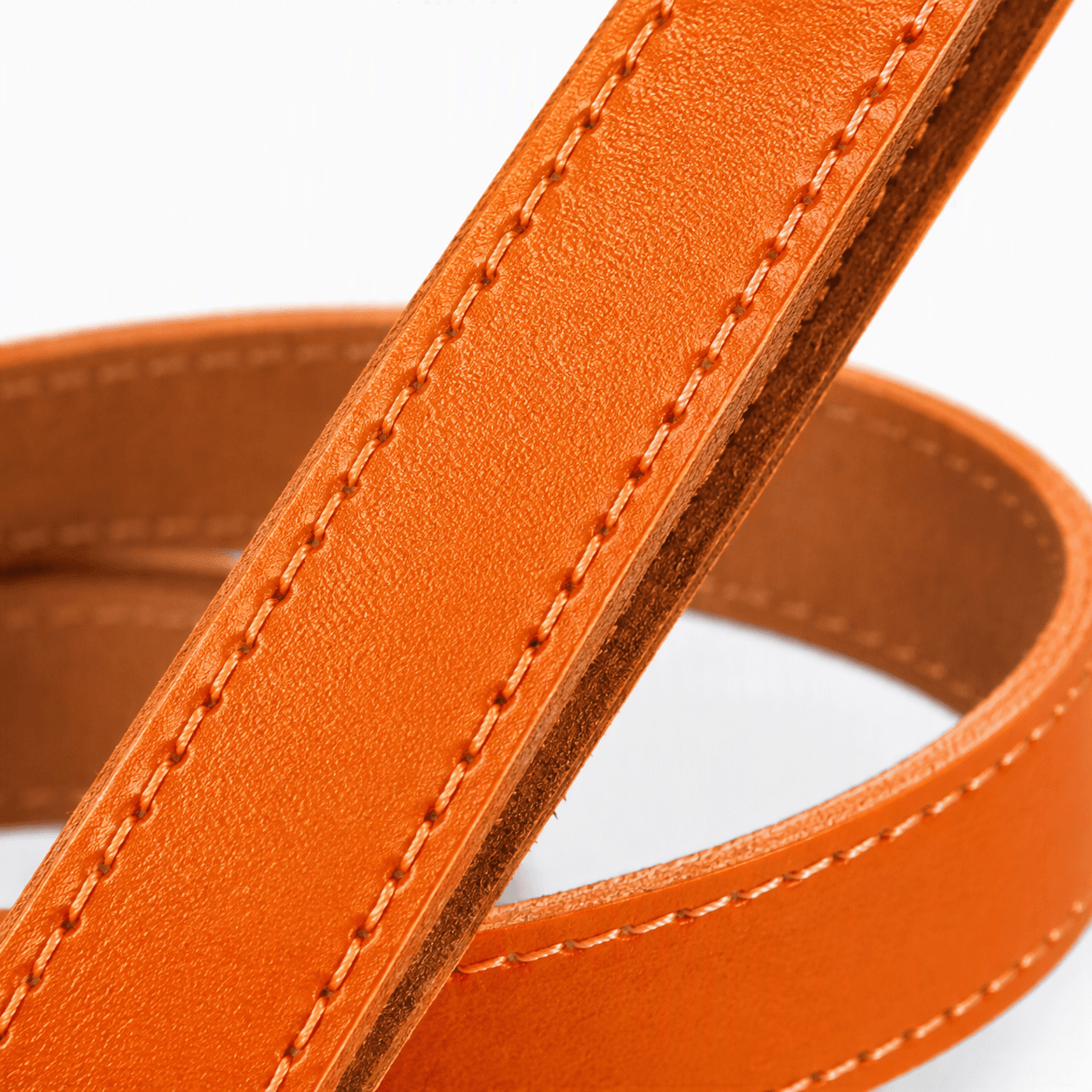ZOLUX Klassische Lederleine für Hunde, 1 m, 15 mm, orange – Bild 5