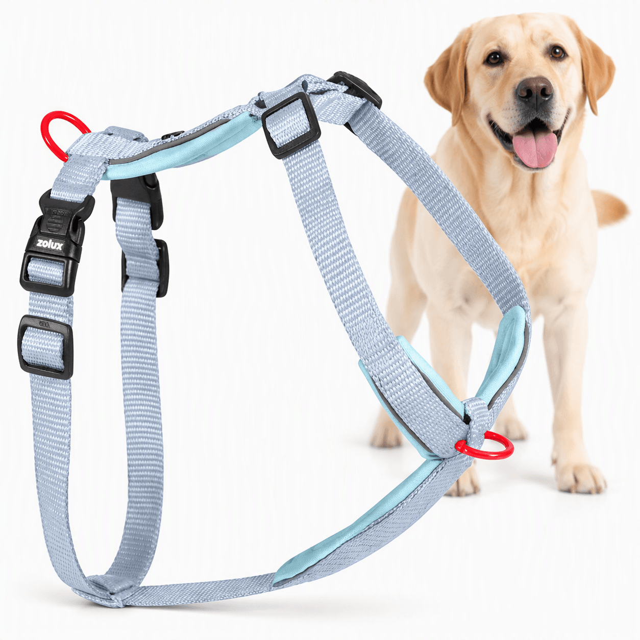 ZOLUX Premium-Nylon-Hundegeschirr, Größe L/XL, 65–97 cm, 25 mm, hellblau – Bild 1