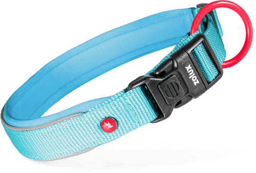 ZOLUX Premium-Nylon-Hundehalsband, Größe XXS, 25–30 cm, 15 mm, türkis – Bild 2