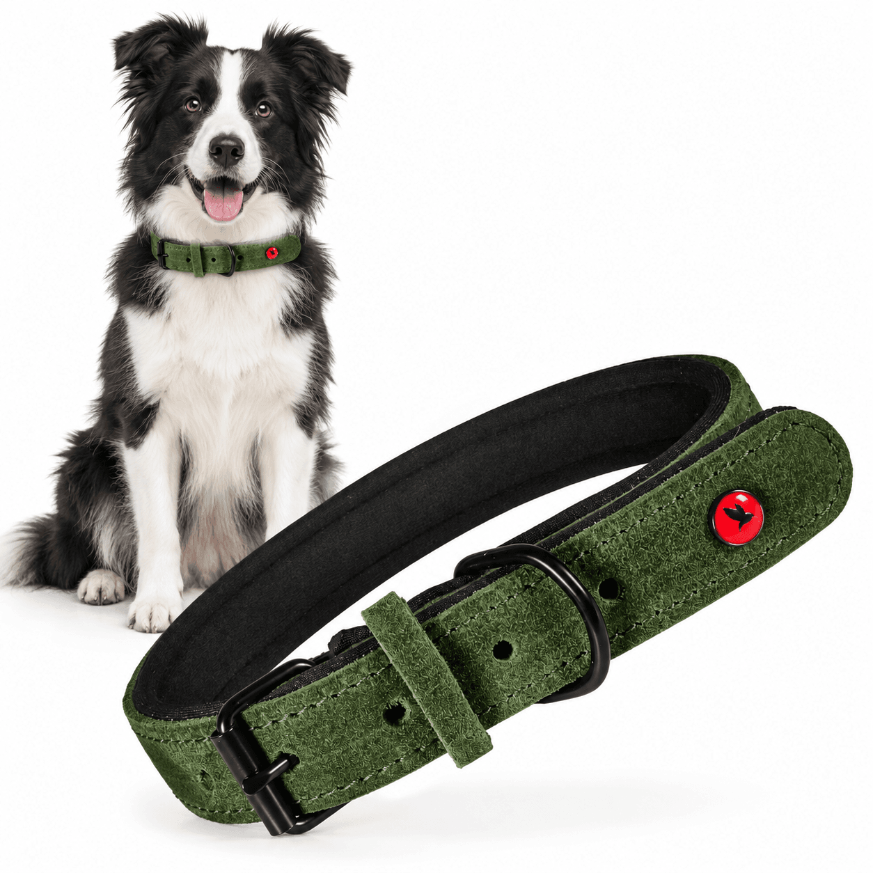 ZOLUX Komfort-Lederhalsband für Hunde, 33–39 cm, 18 mm, grün – Bild 1