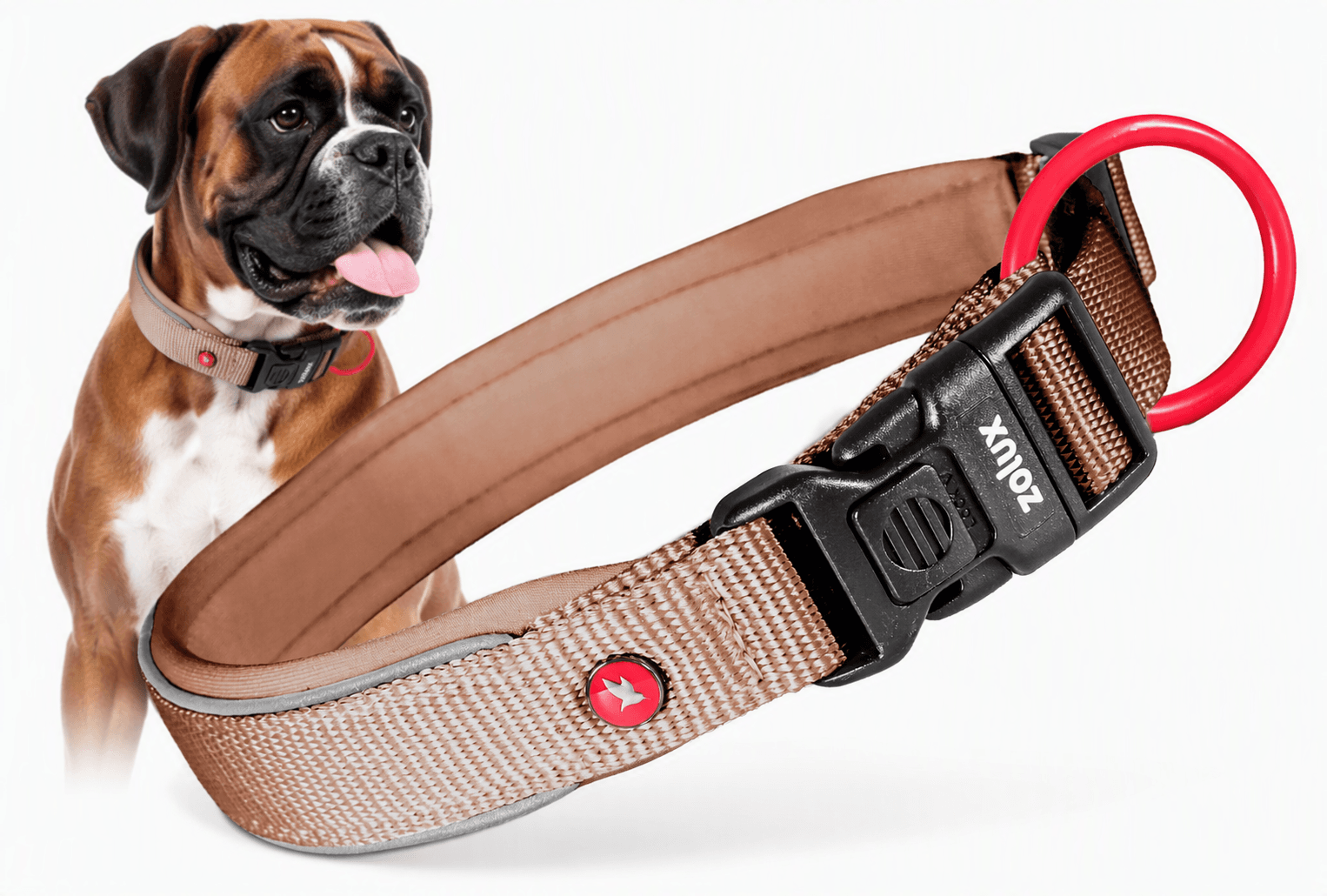 ZOLUX Premium-Nylon-Hundehalsband, Größe XL, 50–55 cm, 25 mm, mocha – Bild 1