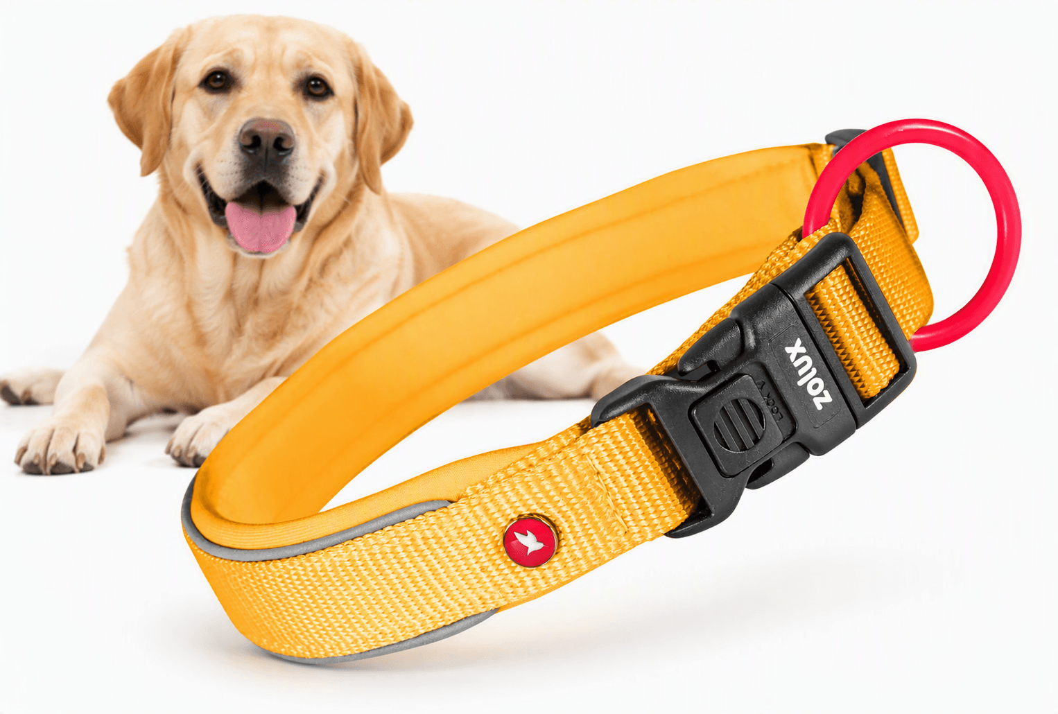 ZOLUX Premium-Nylon-Hundehalsband, Größe M, 40–45 cm, 20 mm, gelb – Bild 1