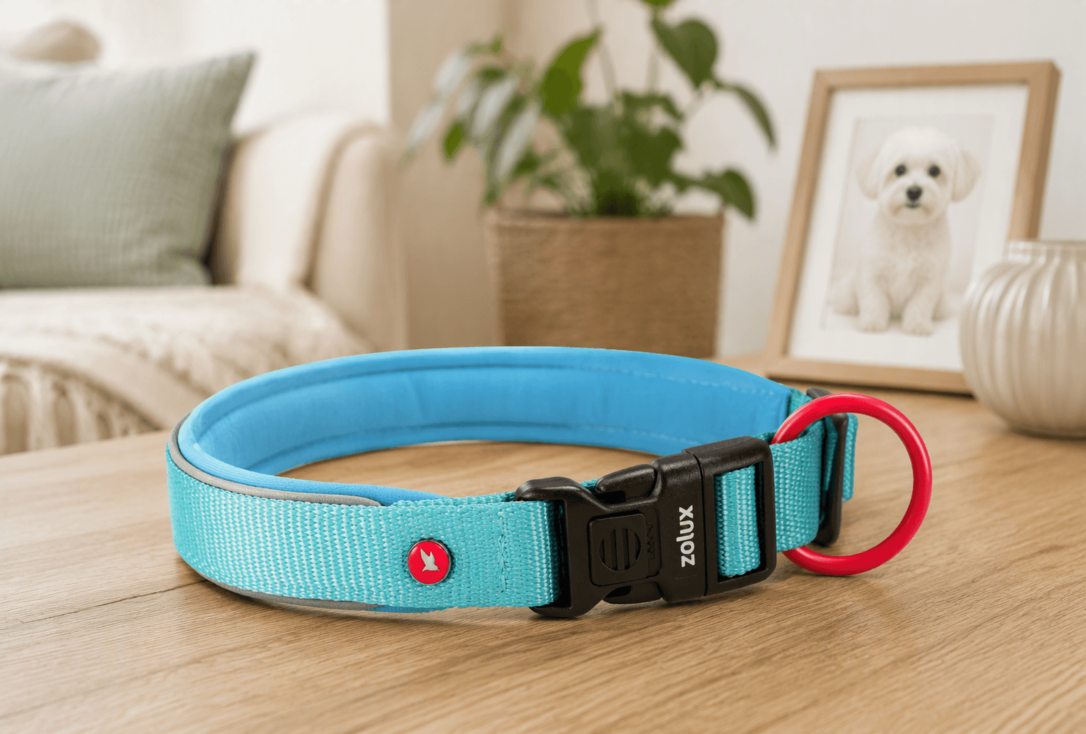 ZOLUX Premium-Nylon-Hundehalsband, Größe XXS, 25–30 cm, 15 mm, türkis – Bild 5