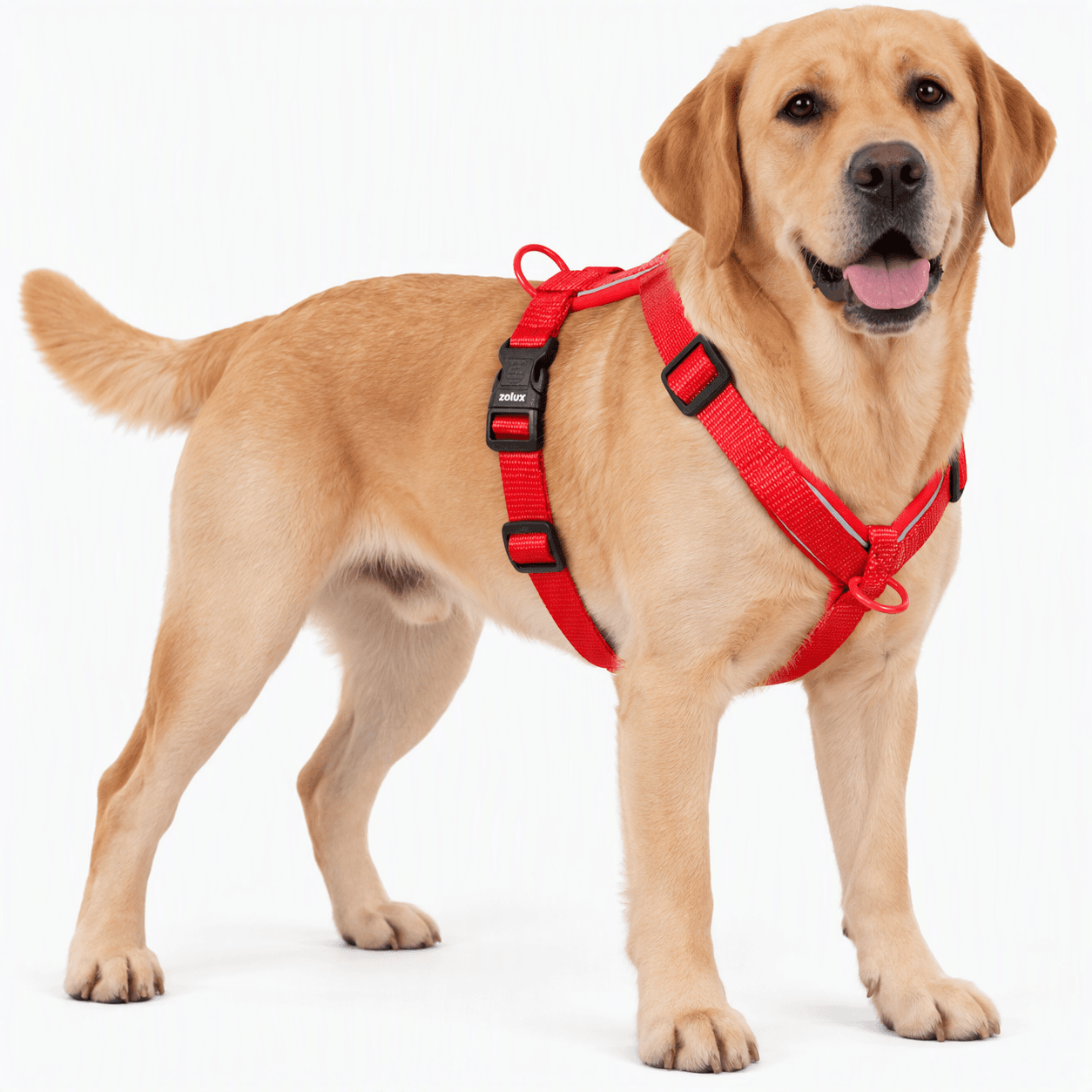 ZOLUX Premium-Nylon-Hundegeschirr, Größe L/XL, 65–97 cm, 25 mm, rot – Bild 6