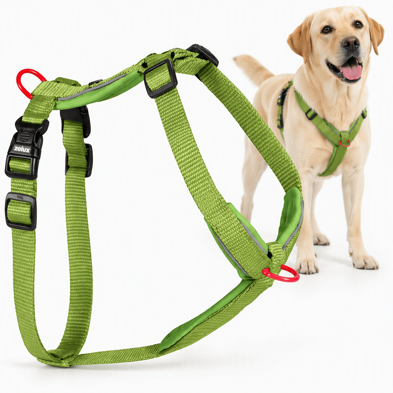 ZOLUX Premium-Nylon-Hundegeschirr, Größe L/XL, 65–97 cm, 25 mm, hellgrün – Bild 1