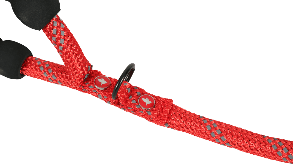 ZOLUX Seilleine für Hunde, 6 m, 13 mm, rot – Bild 6
