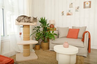 ZOLUX Kratzbaum für Katzen BOREAL, beige, 95 cm – Bild 1