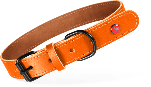 ZOLUX Klassisches Lederhalsband für Hunde, 54–63 cm, 30 mm, orange – Bild 1