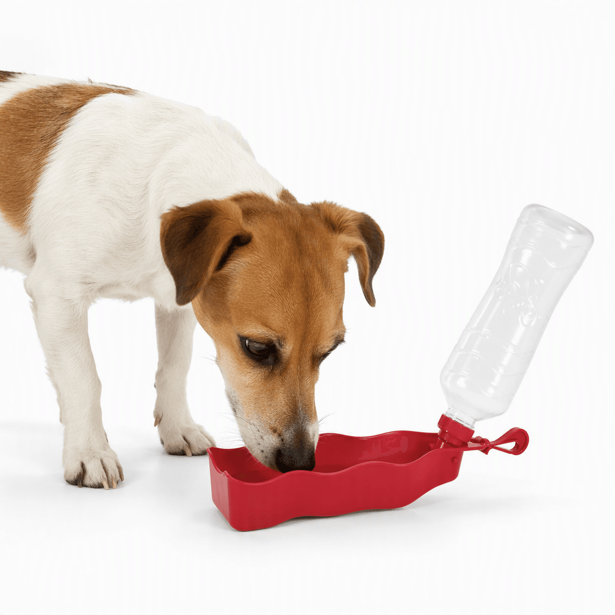 ZOLUX Faltbare Trinkflasche für Hunde BIVOUAK 450 ml rot – Bild 6