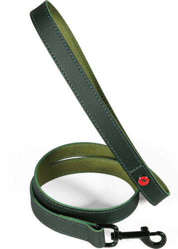 ZOLUX Klassische Lederleine für Hunde, 1 m, 20 mm, grün – Bild 2