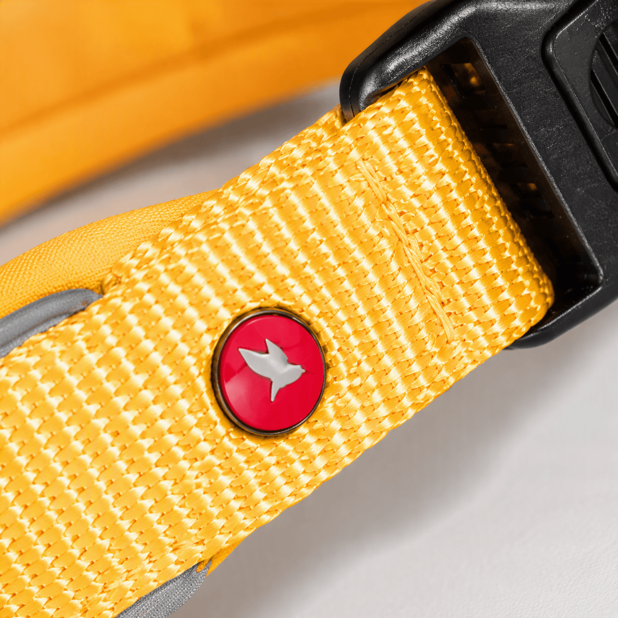 ZOLUX Premium-Nylon-Hundehalsband, Größe XL, 50–55 cm, 25 mm, gelb – Bild 6