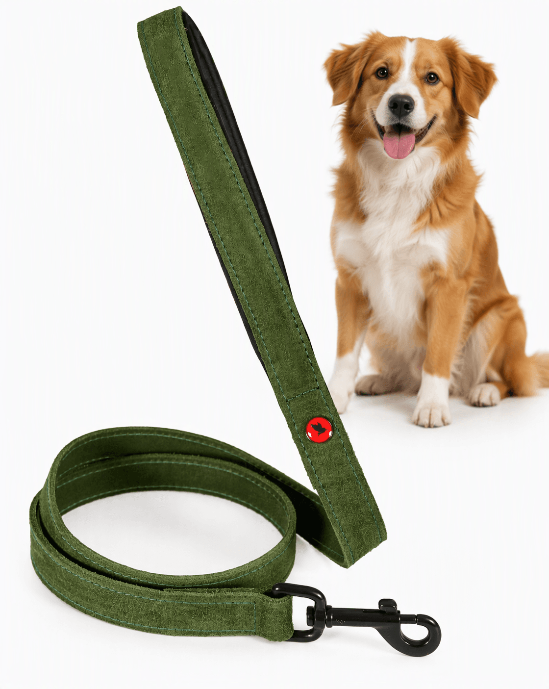 ZOLUX Komfort-Lederleine für Hunde, 1 m, 20 mm, grün – Bild 1