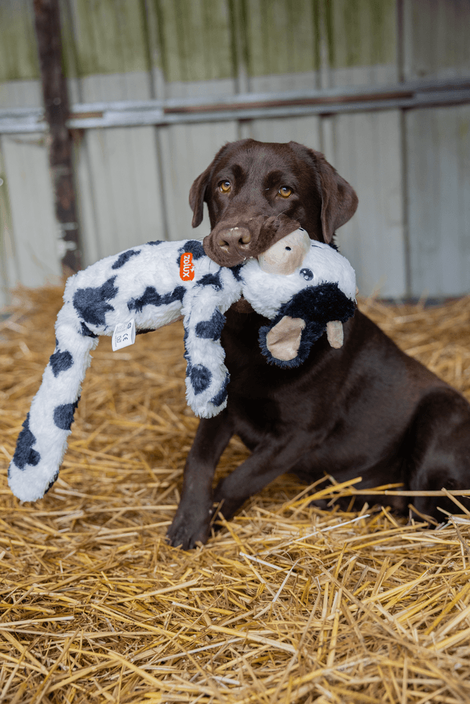 ZOLUX FURRY FARM Plüsch-Hundespielzeug, Kuh Isache, 60 cm – Bild 6