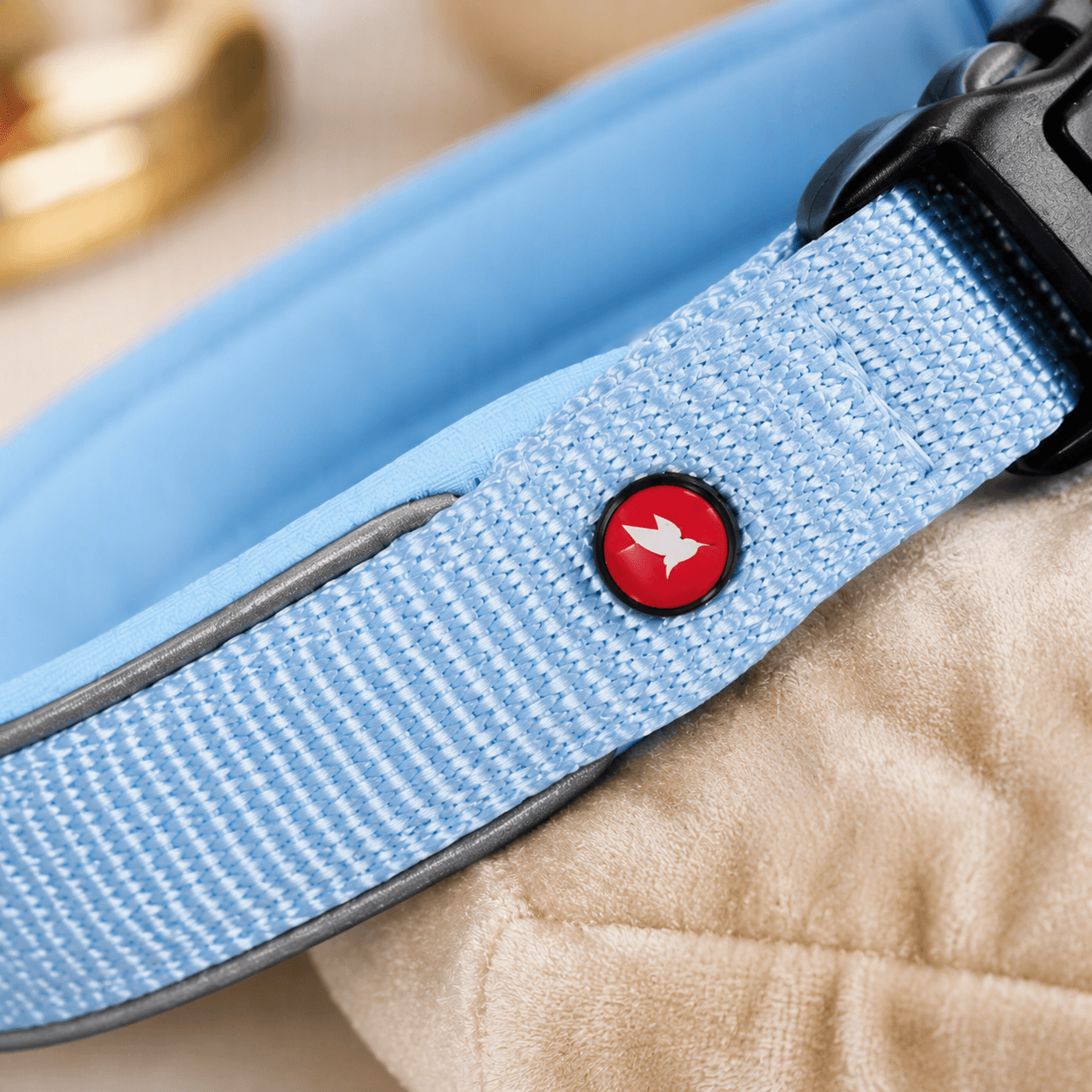 ZOLUX Premium-Nylon-Hundehalsband, Größe XXS, 25–30 cm, 15 mm, hellblau – Bild 6