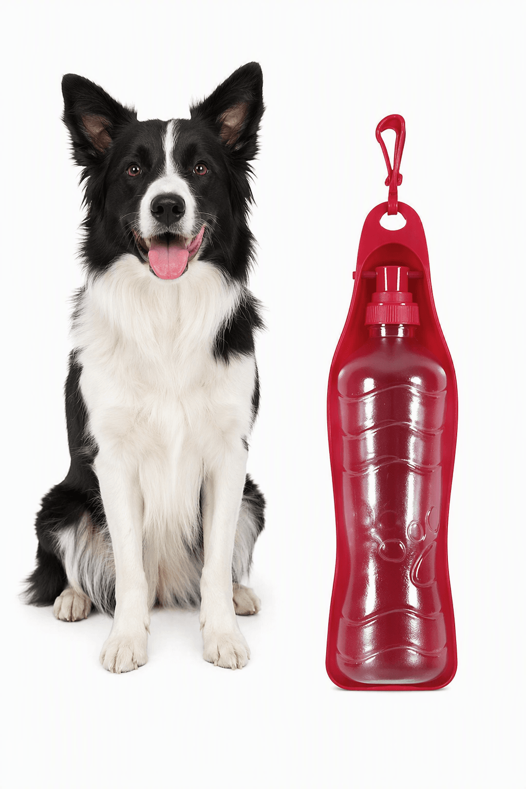 ZOLUX Faltbare Trinkflasche für Hunde BIVOUAK 450 ml rot – Bild 1