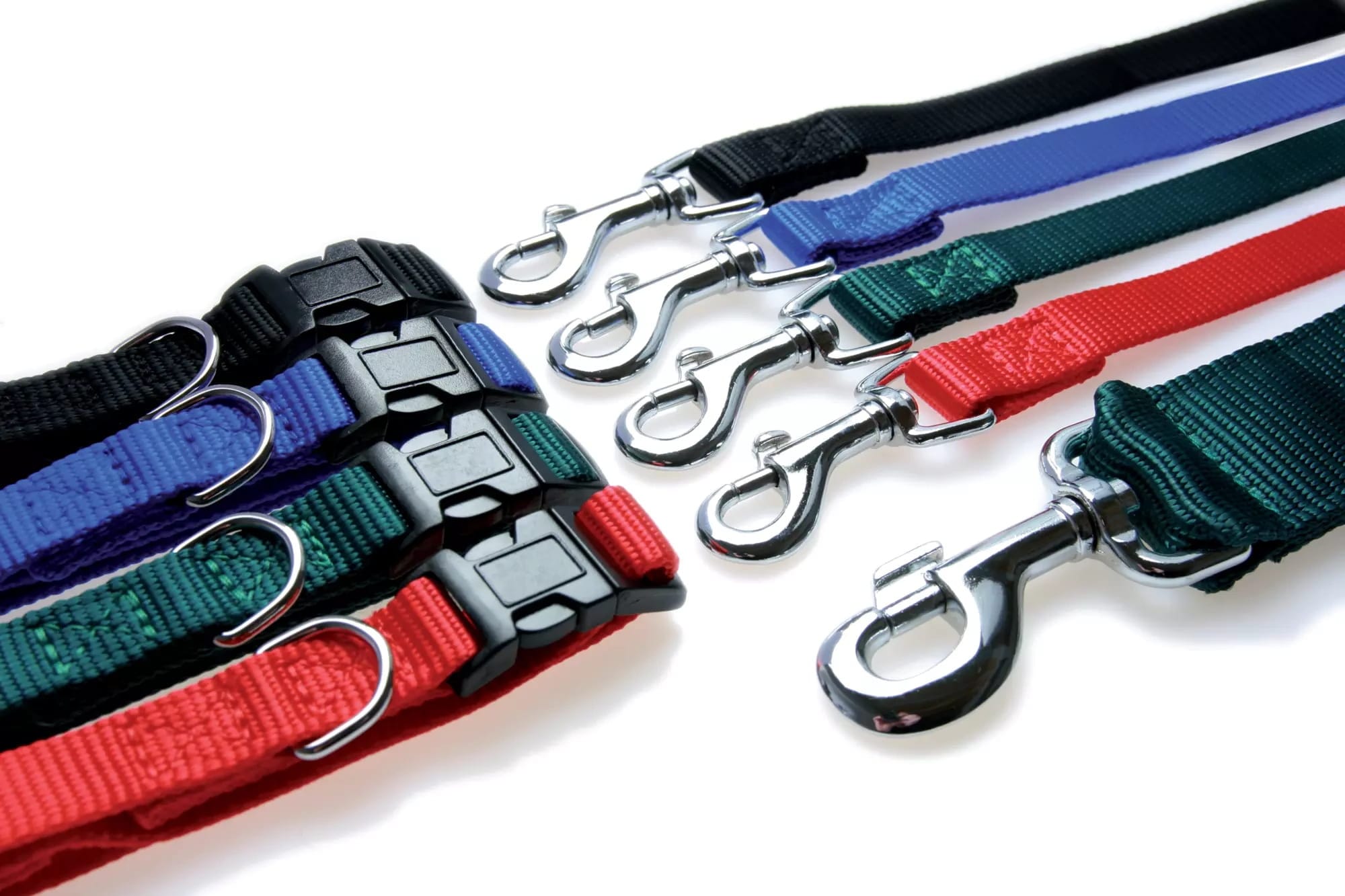 Zolux Hundehalsband aus Nylon – Band 30/40 cm, 15 mm, Farbe: Blau – Bild 2