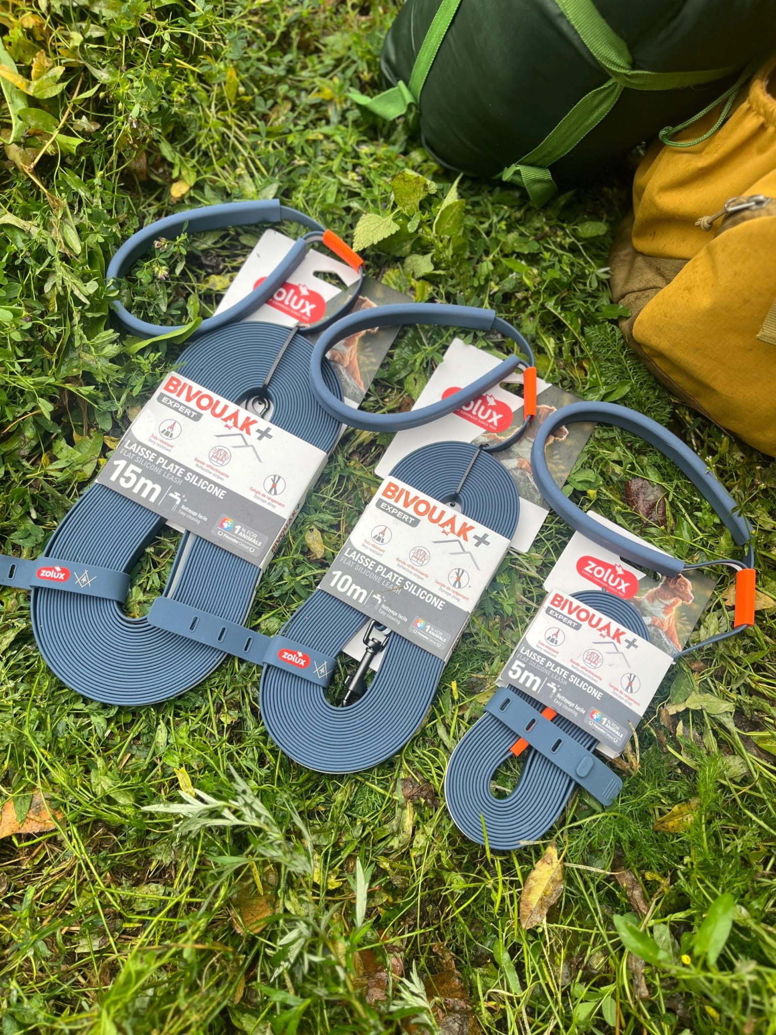 ZOLUX Flache Silikon- Hundeleine für BIVOUAK blau 15m – Bild 5
