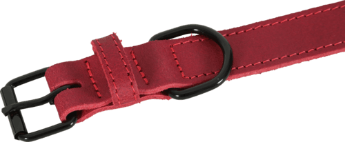 ZOLUX Klassisches Lederhalsband für Hunde, 30–36 cm, 16 mm, bordeauxrot – Bild 4