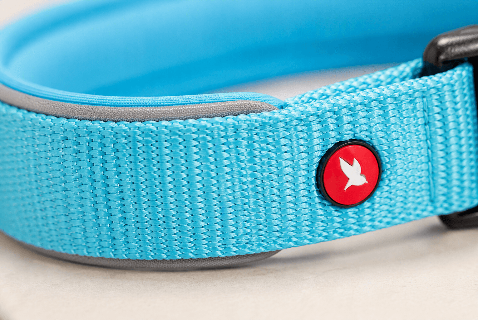 ZOLUX Premium-Nylon-Hundehalsband, Größe L, 45–50 cm, 25 mm, türkis – Bild 6