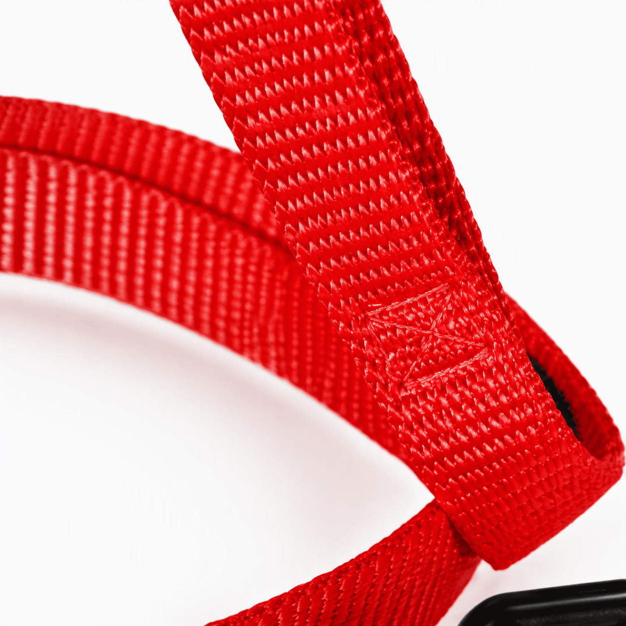 ZOLUX Klassische Nylon-Hundeleine, 1,20 m, 25 mm, rot – Bild 6
