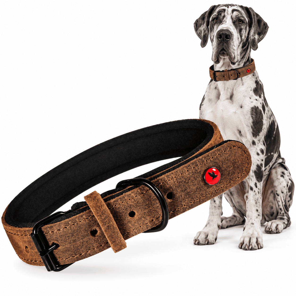 ZOLUX Komfort-Lederhalsband für Hunde, 53–65 cm, 30 mm, braun – Bild 1