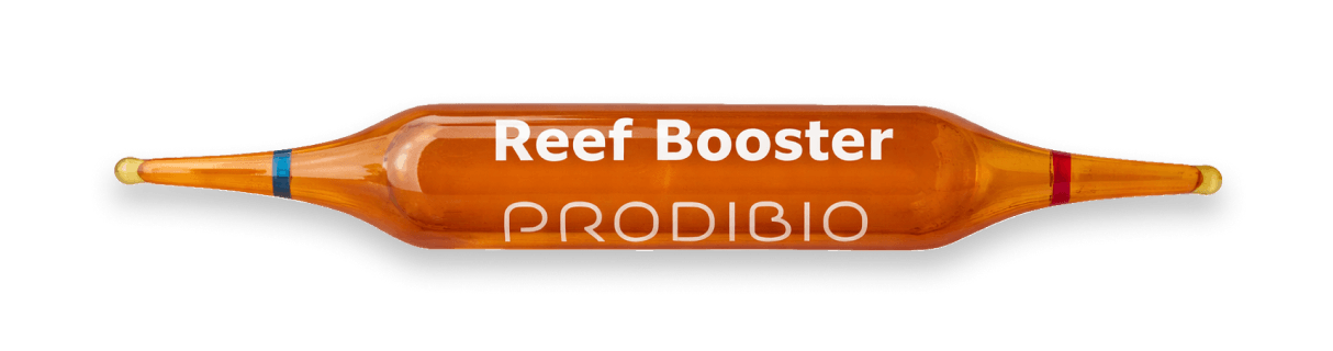 PRODIBIO Reef Booster – 30 Ampullen Nährstoffsupplement für Meerwasseraquarien – Bild 2