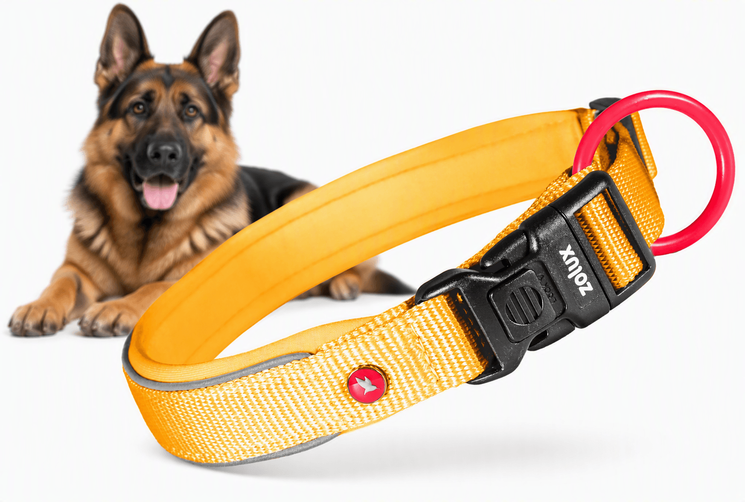 ZOLUX Premium-Nylon-Hundehalsband, Größe L, 45–50 cm, 25 mm, gelb – Bild 1