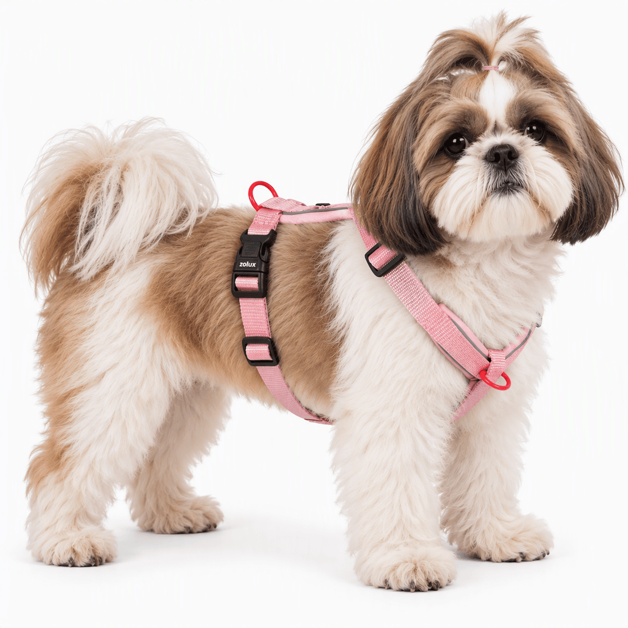 ZOLUX Premium-Nylon-Hundegeschirr, Größe S, 38–56 cm, 15 mm, rosa – Bild 6