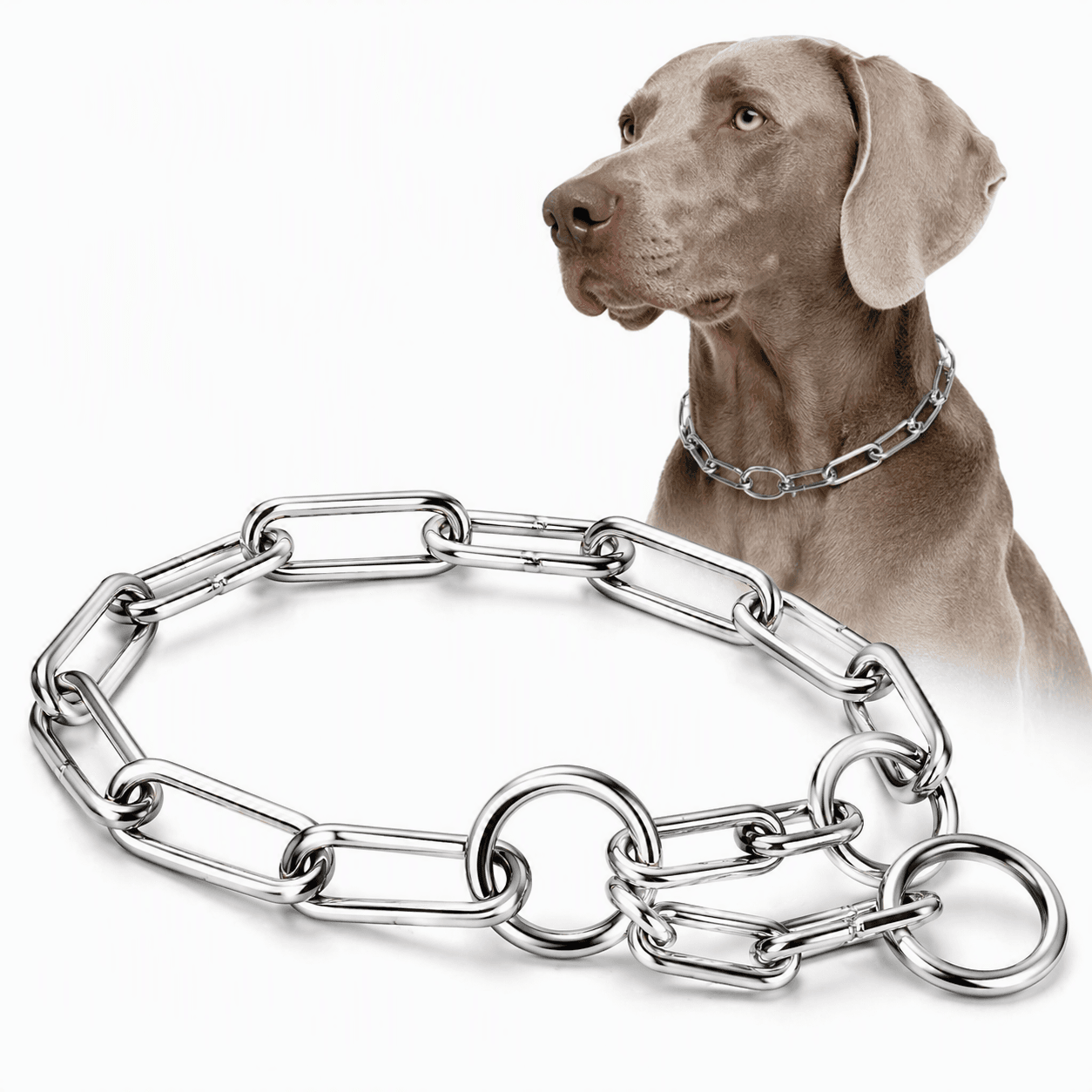 ZOLUX Metall-Würgehalsband für Hunde, 64cm – Bild 6
